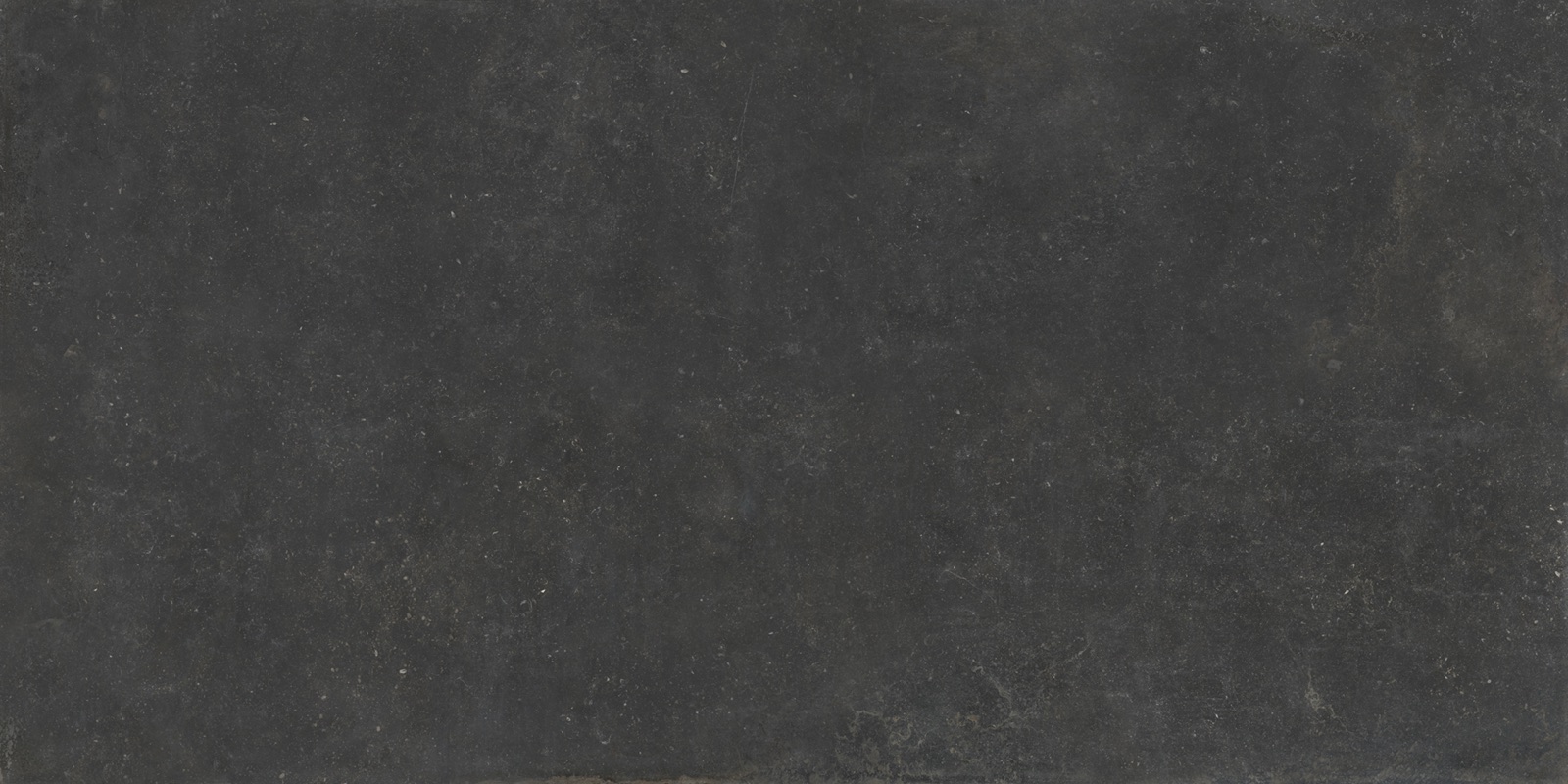 Image — full slab, Pierre Bleue